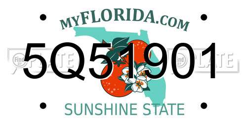 5Q51901 Florida License Plate