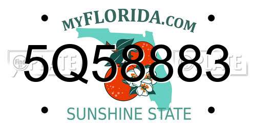 5Q58883 Florida License Plate