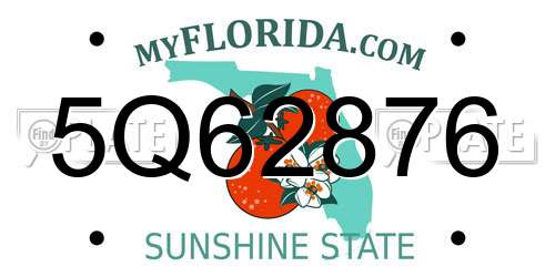 5Q62876 Florida License Plate