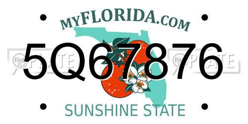 5Q67876 Florida License Plate