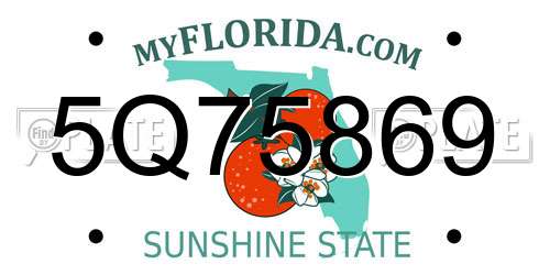 5Q75869 Florida License Plate