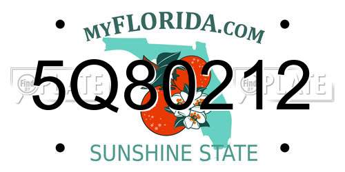 5Q80212 Florida License Plate