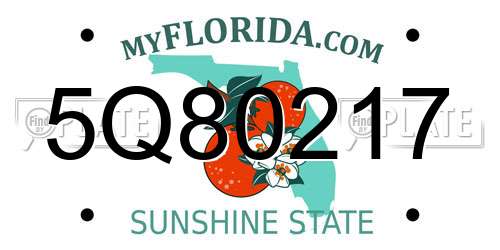 5Q80217 Florida License Plate