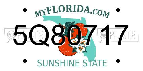 5Q80717 Florida License Plate