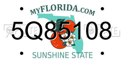 5Q85108 Florida License Plate