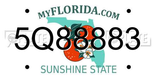 5Q88883 Florida License Plate
