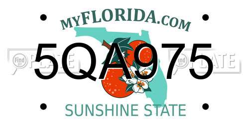 5QA975 Florida License Plate
