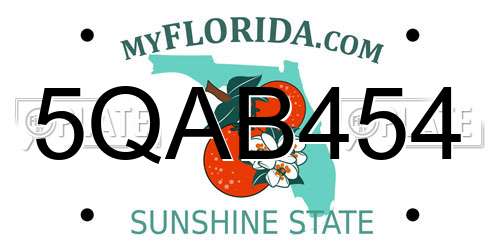 5QAB454 Florida License Plate