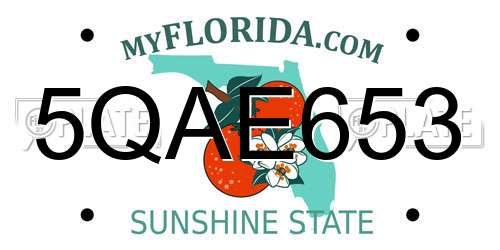 5QAE653 Florida License Plate