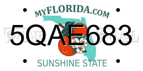 5QAE683 Florida License Plate