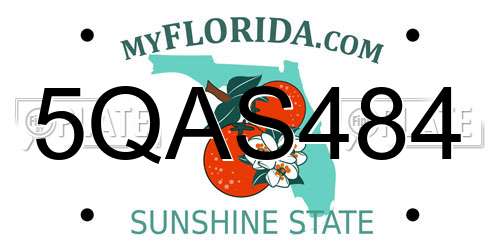5QAS484 Florida License Plate