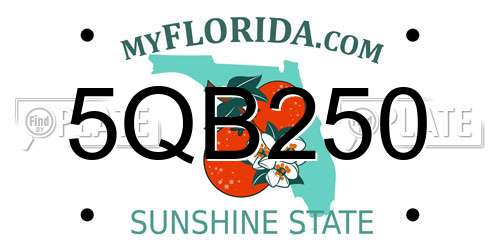 5QB250 Florida License Plate