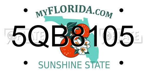 5QB8105 Florida License Plate