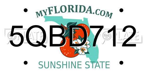 5QBD712 Florida License Plate