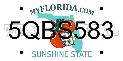 5QBS583 Florida License Plate