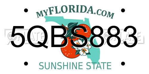 5QBS883 Florida License Plate