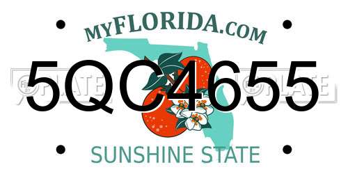 5QC4655 Florida License Plate
