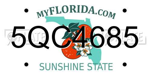 5QC4685 Florida License Plate
