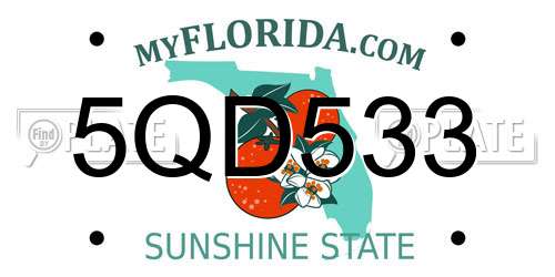 5QD533 Florida License Plate