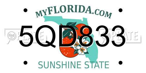 5QD833 Florida License Plate