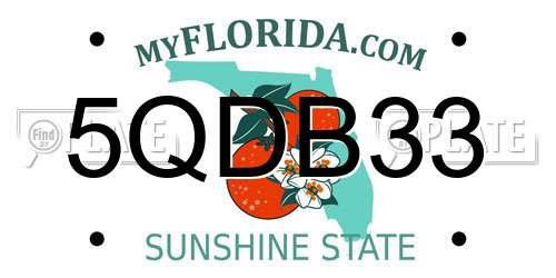 5QDB33 Florida License Plate