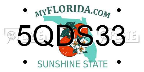 5QDS33 Florida License Plate