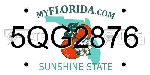 5QG2876 Florida License Plate