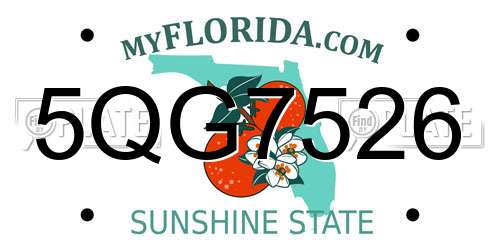 5QG7526 Florida License Plate