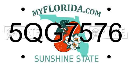 5QG7576 Florida License Plate