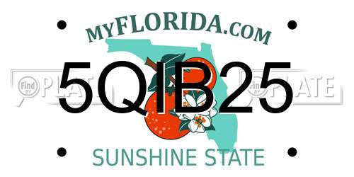 5QIB25 Florida License Plate