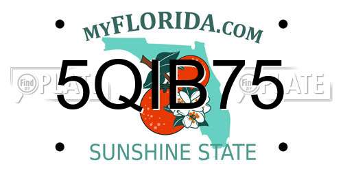 5QIB75 Florida License Plate