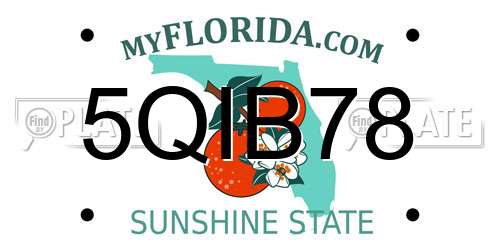 5QIB78 Florida License Plate