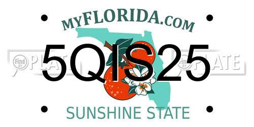 5QIS25 Florida License Plate