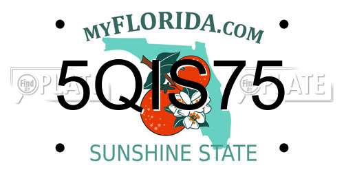 5QIS75 Florida License Plate