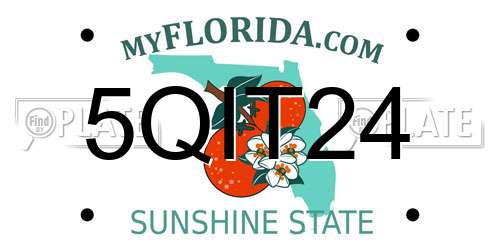 5QIT24 Florida License Plate