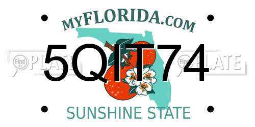 5QIT74 Florida License Plate