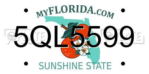 5QL5599 Florida License Plate