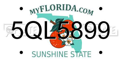5QL5899 Florida License Plate