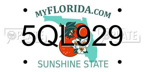 5QL929 Florida License Plate
