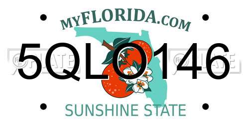 5QLO146 Florida License Plate