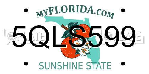 5QLS599 Florida License Plate