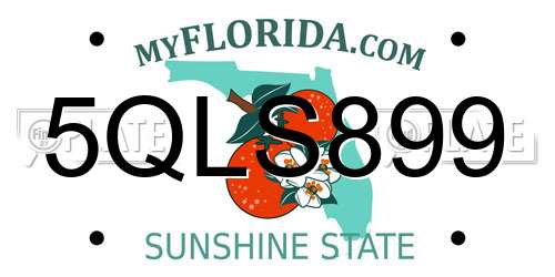 5QLS899 Florida License Plate