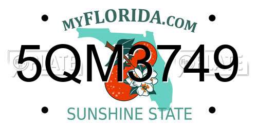 5QM3749 Florida License Plate