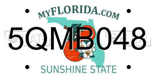 5QMB048 Florida License Plate