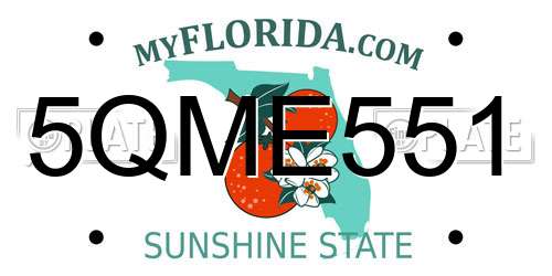5QME551 Florida License Plate