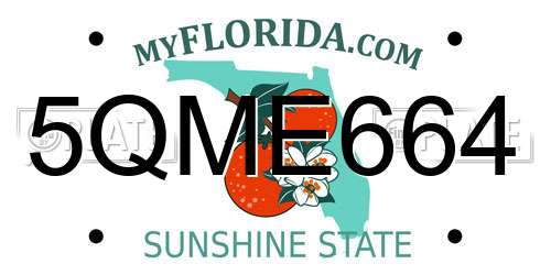 5QME664 Florida License Plate