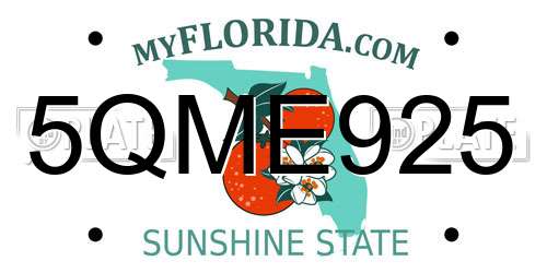 5QME925 Florida License Plate