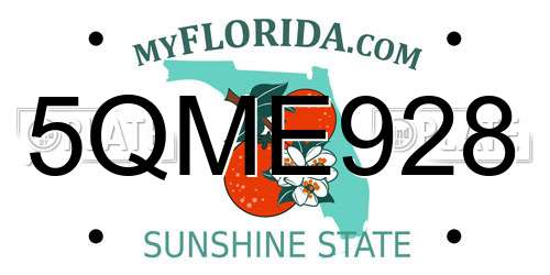 5QME928 Florida License Plate
