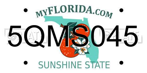 5QMS045 Florida License Plate