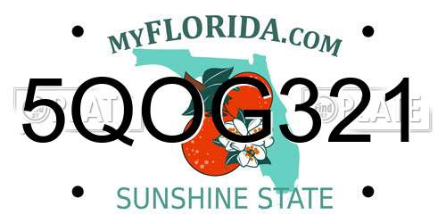 5QOG321 Florida License Plate